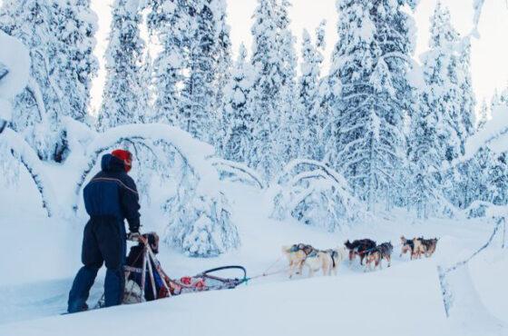 Finnish Lapland (Sep – Mar)