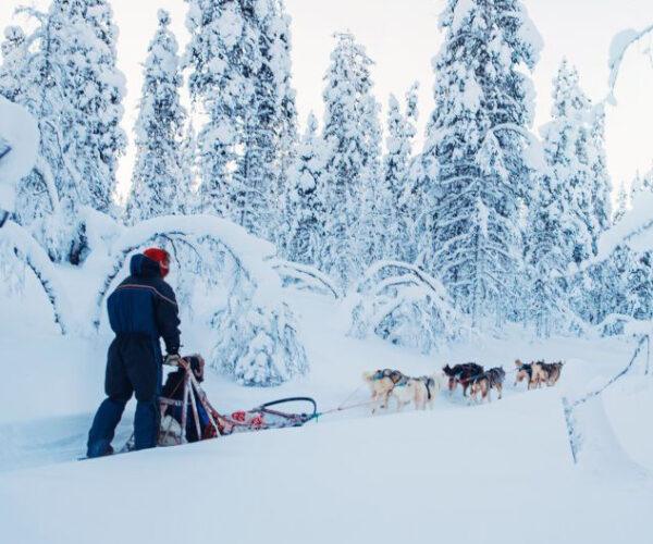 Finnish Lapland (Sep – Mar)