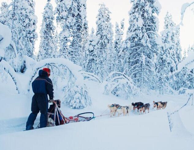 Finnish Lapland (Sep – Mar)